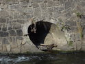 Kanalizační vyústění do Svratky pod silničním mostem u Komety.