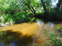 Levotočivý oblouk Svratky v Křižánkách dává vyniknout slatinné barvě řeky.