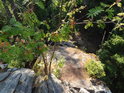 Jeřáby se drží na skále vysoko nad hladinou přehrady Vír.